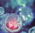 周口三代试管包生男孩价格2023北京