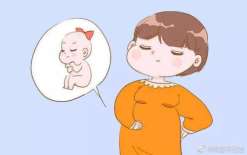 第三代试管能够排除遗传：备孕喝藏红花