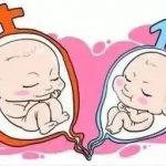 哈尔滨三代试管染色体异常概率,孩子的笑声