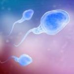 第三代试管生男孩价格表 第三代试管生男孩价格表