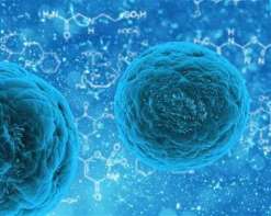 徐州三代试管选择性别会出错吗？