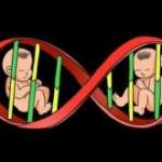 (试管怀孕需不需要卧床保胎)做试管婴儿是否需要保胎 (试管怀孕需不需要卧床保胎)做试管婴儿是否需要保胎