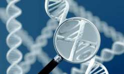 呼和浩特三代试管和二代的区别