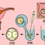 河北三代试管婴儿一次成功率高么