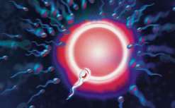 贵阳三代试管婴儿医院排名