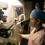 (深圳医院试管费用)北京大学深圳医院试管婴儿多少钱[广东试管婴儿]