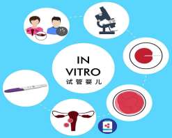 惠州三代试管的成功率 试管婴儿惠州最成熟的医院