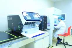 乌克兰双角子宫做试管成功率高吗