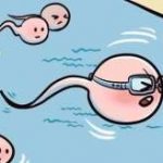 【春意阑珊】沈阳男方染色体异常能做试管吗 【春意阑珊】沈阳男方染色体异常能做试管吗