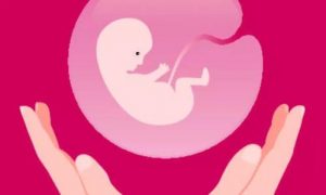 湖北供卵试管费用是多少