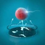 泰国三代试管男孩价格多少?15万的费用够吗? 泰国三代试管男孩价格多少?15万的费用够吗?