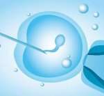 成熟可以取卵的卵泡多大 成熟卵泡多大可以取卵