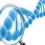 孕早期保胎不推荐中药原因汇总,中药保胎