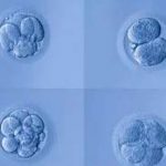 2023贵州三代试管供卵生孩子费用整理，2023各区助孕总花费排名预估