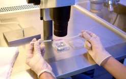 开封第三代试管做男孩价格？开封第三代试管做男孩价格多少钱？