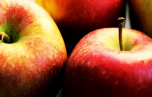 2023从广州去俄罗斯做三代试管生男孩费用是多少钱