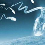 试管婴儿取20个卵泡好吗[试管婴儿取卵]