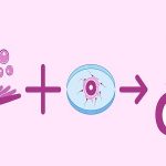 丹江口试管费用明细表,丹江口试管费用明细表