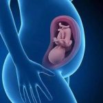 玉溪三代试管包成功 昆明三代试管费用总共多少