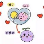 滨州先天性卵巢早衰能不能做三代试管? 滨州先天性卵巢早衰能不能做三代试管?