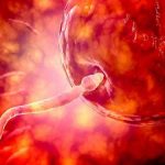 2023长沙三代试管婴儿生龙凤胎费用分析，每年的费用仅需几万元