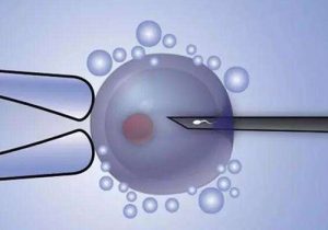 珠海第三代试管婴儿可以筛查哪些遗传病？珠海做试管婴儿多少钱？