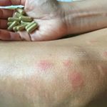 广州三代试管成功率高_广州三代试管费用明细 广州三代试管成功率高_广州三代试管费用明细