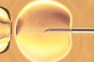 淄博三代试管婴儿借卵生子医院排名最新汇总