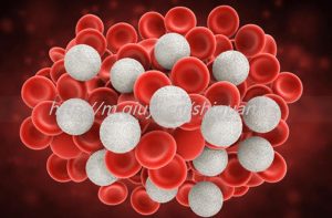 2023两个女孩子可以通过三代试管助孕供卵生子吗