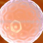 天津三代试管供卵生孩子医院介绍