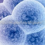 2023临汾三代试管生龙凤胎收费价目一览表，过程看完没那么神秘