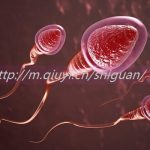 天津三代试管助孕借卵生子公司联系方式