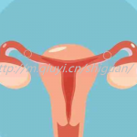 两个女孩子可以通过三代试管供卵生孩子吗