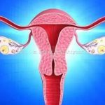 济南三代试管包生儿子费用明细做供卵试管费用得这个数