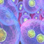 揭阳第三代试管婴儿泰国费用