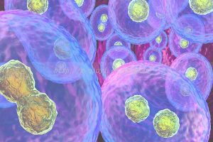 揭阳第三代试管婴儿泰国费用