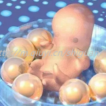 合肥三代试管助孕借卵生子公司排名榜揭晓