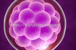 临沂三代试管借卵生子公司正规吗