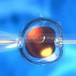 安徽省三代试管婴儿借卵生子公司大全