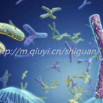 2023大龄女性能通过三代试管婴儿怀男孩吗