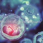 合肥三代试管助孕捐卵生孩子机构如何选择