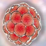 泰州三代试管借卵生子医院排名哪家最好 泰州三代试管借卵生子医院排名哪家最好