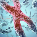 吉林三代试管生孩子的医院可以签约吗