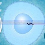 上海三代试管助孕私立生子医院正规吗