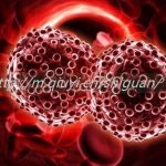 HIV患者可以通过三代试管供卵怀孩子吗 HIV患者可以通过三代试管供卵怀孩子吗