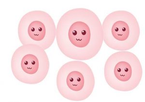 哪些子宫不好的问题影响供卵试管婴儿成功率呢？