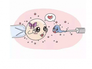 供卵可以避免遗传病，基因有问题女性的福音