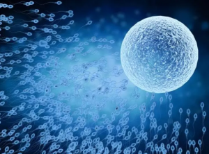 做三代试管婴儿前男方如何调理精子？