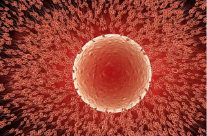 昆明医科大学附属第一医院生殖遗传科胚胎移植注意事项