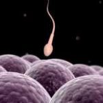 衢州三代试管婴儿的费用？杭州三代试管大概费用？